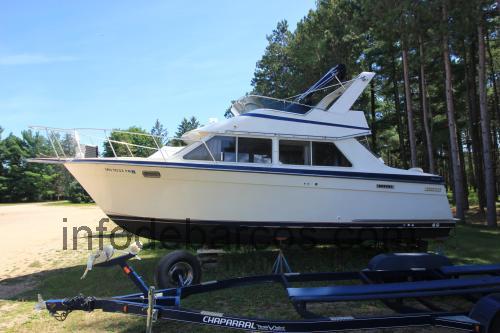 Tollycraft 30 Sport Cruiser opinión y ficha técnica